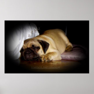 'I Rejoice In The Love I Encounter Everyday' Poster