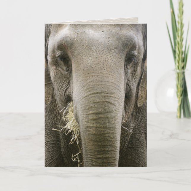 "I remember" greeting card (Front)