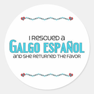 I Rescued a Galgo Español (Female Dog) Classic Round Sticker