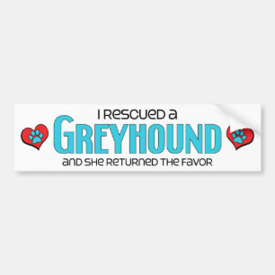 I Rescued a Greyhound (Female Dog) Bumper Sticker