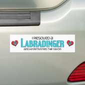 I Rescued a Labradinger (Male) Dog Adoption Design Bumper Sticker (On Car)