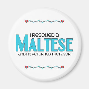 I Rescued a Maltese (Male Dog) Magnet