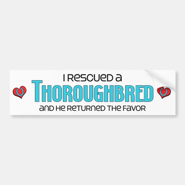 I Rescued a Thoroughbred (Male Horse) Bumper Sticker (Front)