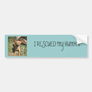 I Rescued my human Bumper Sticker