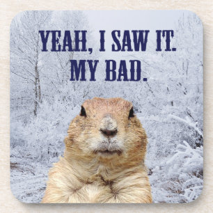 I Saw It Groundhog Day Coaster