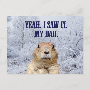 I Saw It Groundhog Day Postcard