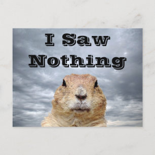 I Saw Nothing on Groundhog Day Postcard