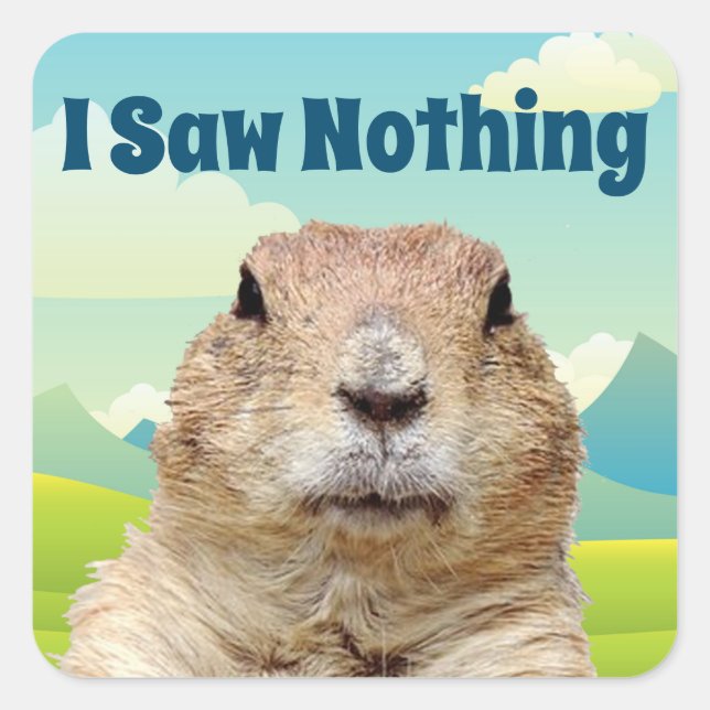 I Saw Nothing on Groundhog Day Square Sticker (Front)