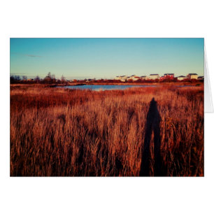 I Saw The Fall At Mundy Pond