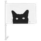 I See Cat Click to Select the Colour You Like Best