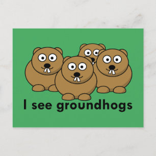 I see groundhogs postcard