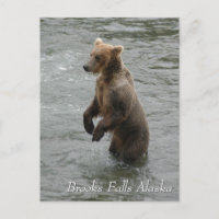 I see you fishy, Brooks Falls Alaska 