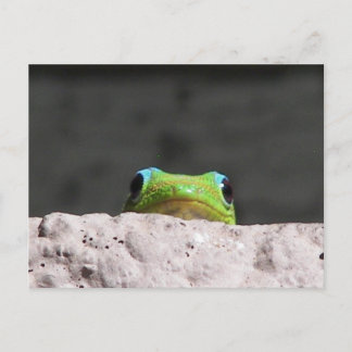 I see you gecko postcard