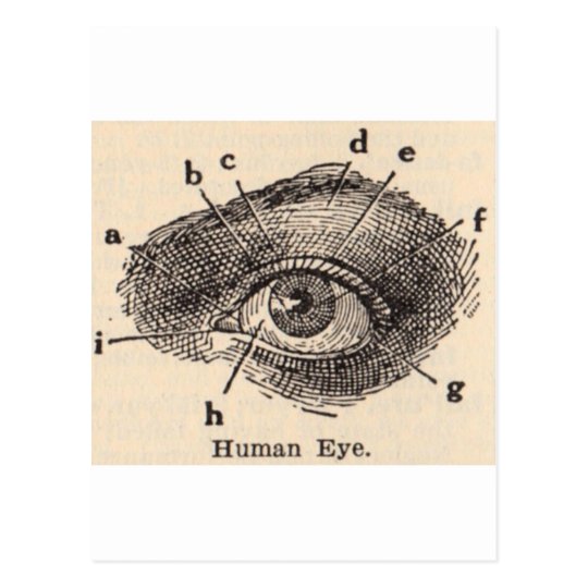 I See You Postcard