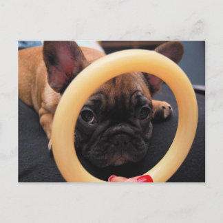 "I See You" Postcard