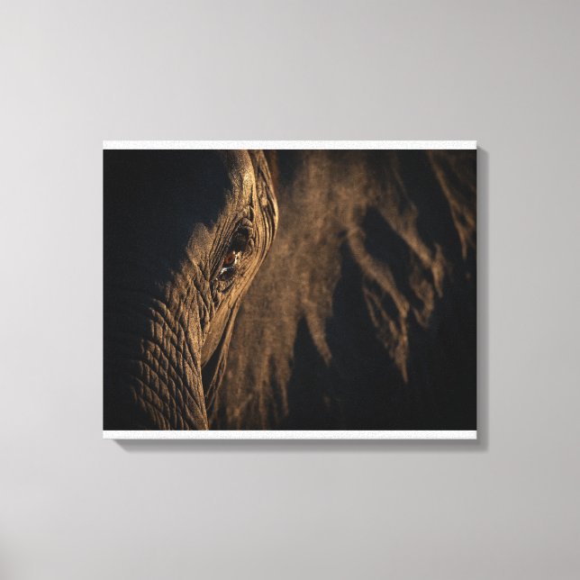 'I see your soul' Elephant eye Canvas Print (Front)