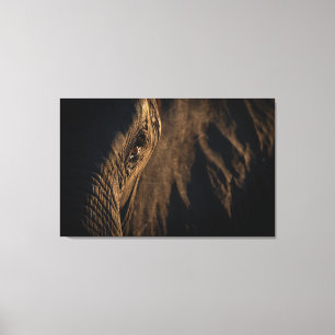 'I see your soul' Elephant eye Canvas Print