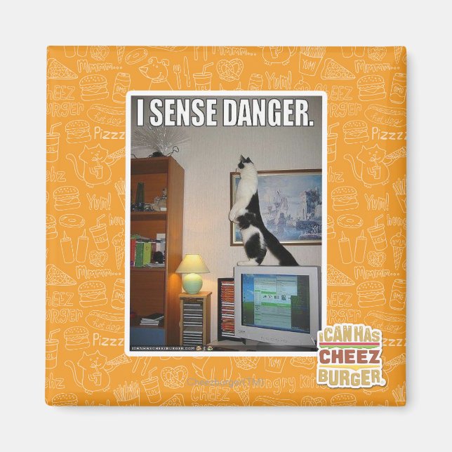 I sense danger magnet (Front)