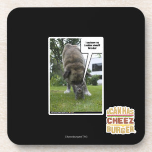I sez leave my brudder alone coaster