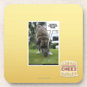 I sez leave my brudder alone coaster