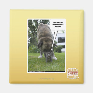 I sez leave my brudder alone magnet