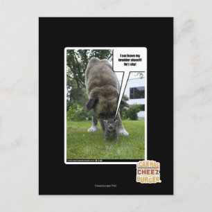 I sez leave my brudder alone postcard