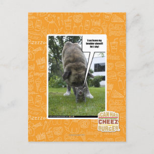 I sez leave my brudder alone postcard