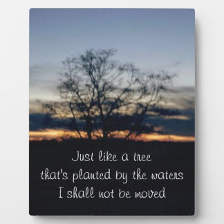 I Shall Not Be Moved Tree Photograph Plaque