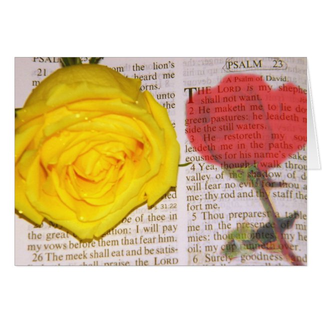 I shall not want (Front Horizontal)