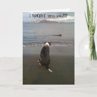 I SHORE miss you!!! Card