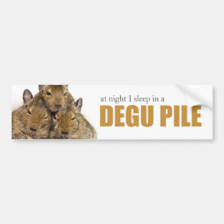I Sleep in a Degu Pile Bumper Sticker