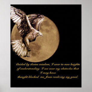 I soar_ Poster