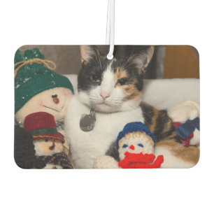 I Spy A Calico Car Air Freshener
