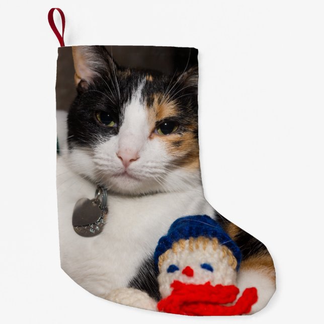 I Spy A Calico Christmas Stocking (Front)