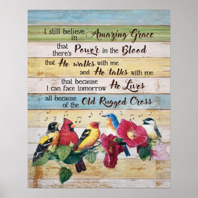  I Still Believe In Amazing Grace Birds Poster (Front)