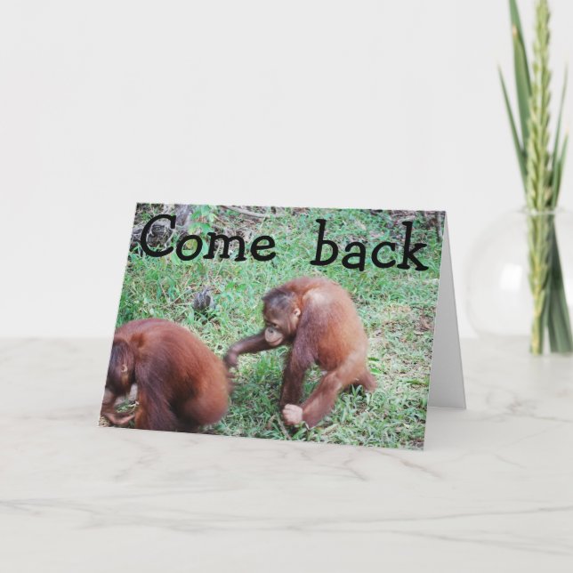 I Still Love You Valentine's Day Holiday Card (Front)