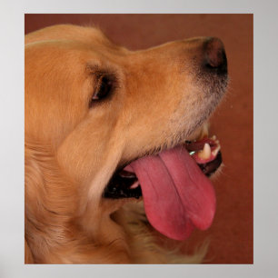 I Still Want More... Poster