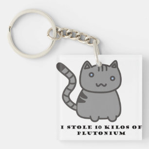 I stole 10 kilos of plutonium cat keychain