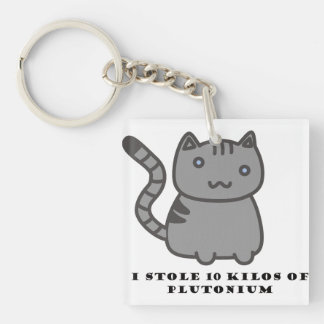 I stole 10 kilos of plutonium cat keychain