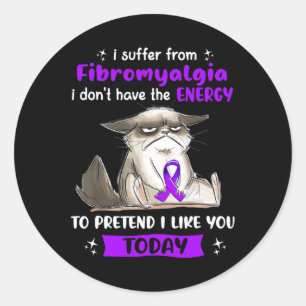 I Suffer From Fibromyalgia Awareness Fun Cat Classic Round Sticker