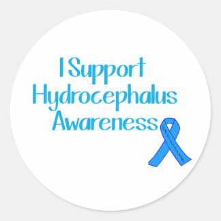 I Support Hydrocephalus Awareness Classic Round Sticker