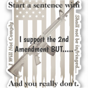 I Support The 2nd Amendment Shall Not Be Infringed