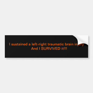 I survived! bumper sticker
