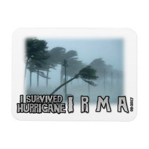 I survived Hurricane Irma gloom Magnet