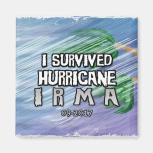 I survived Hurricane Irma Magnet