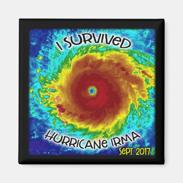 I Survived Hurricane Irma Magnet (Front)