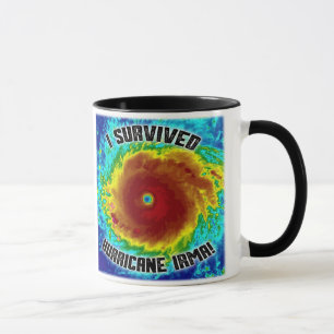 I Survived Hurricane Irma Mug