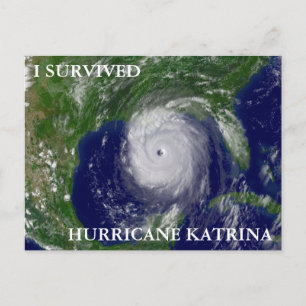 I SURVIVED HURRICANE KATRINA POSTCARD