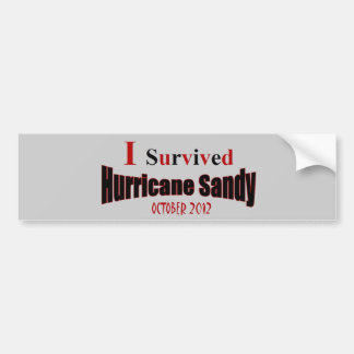 I Survived Hurricane Sandy Bumper Sticker