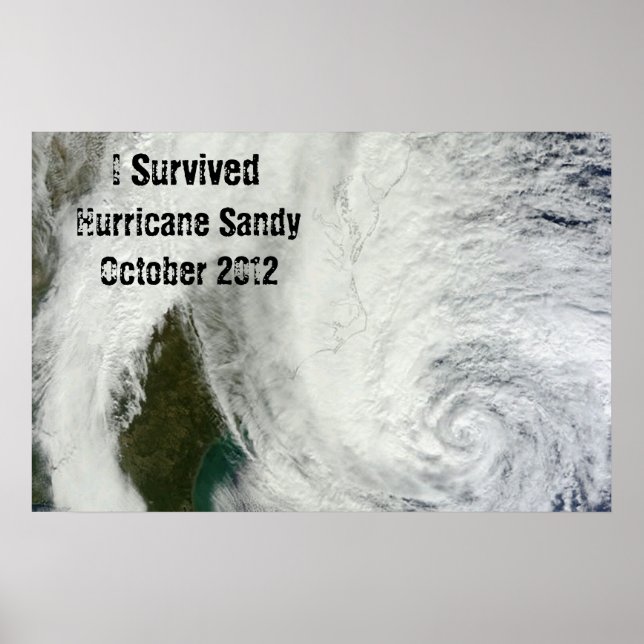 I Survived Hurricane Sandy Poster (Front)